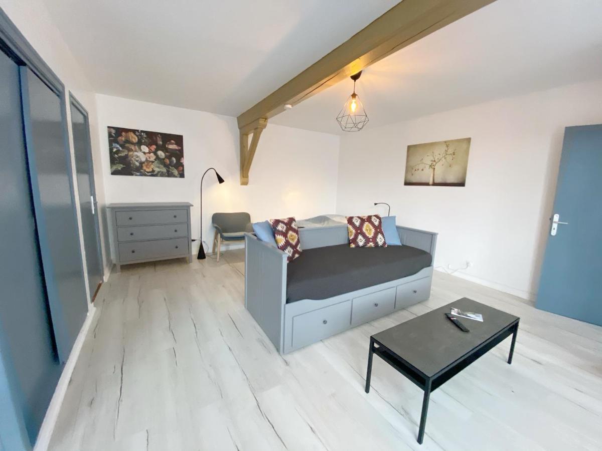 015 Chic & Cosy Studio 41M2 Hypercentre Wifi Smart Tv Netflix Saint-Etienne (Loire) Exterior foto
