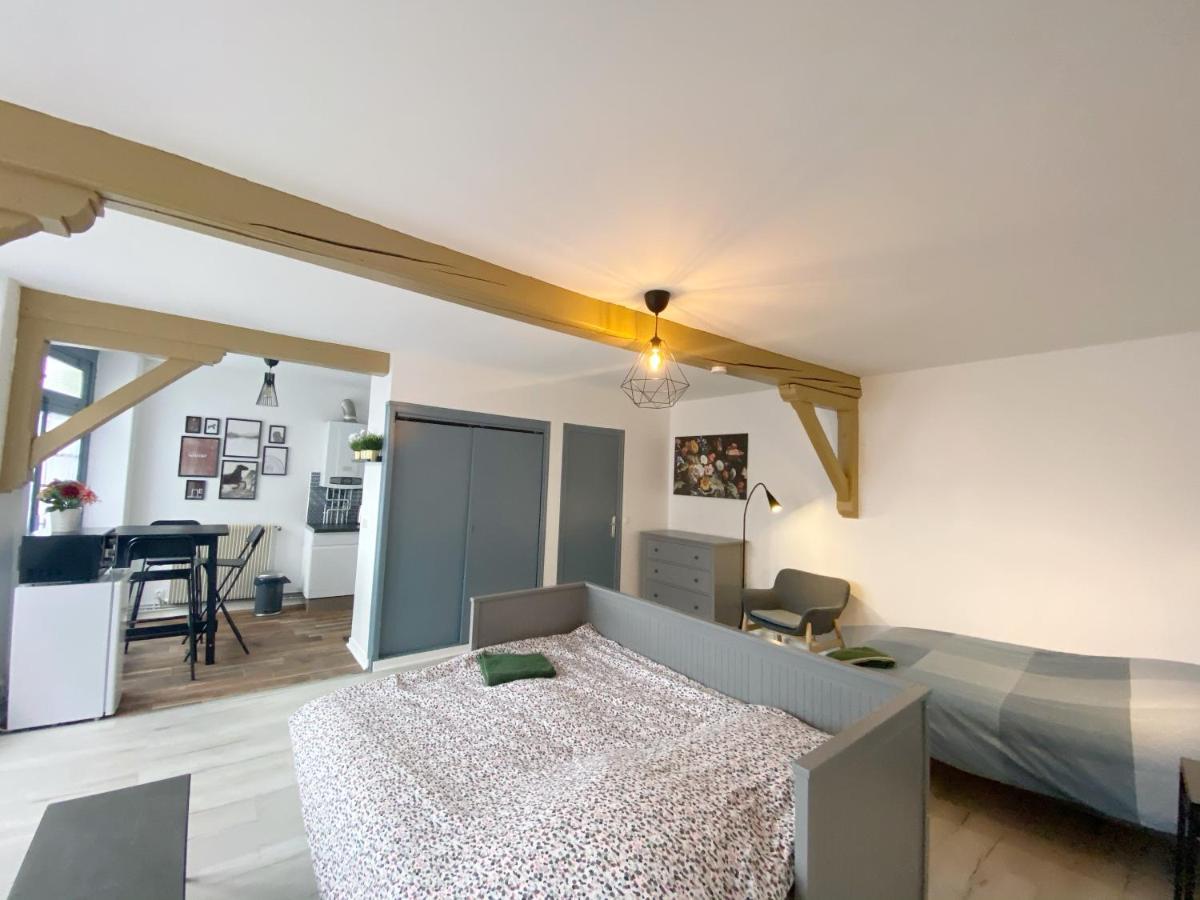 015 Chic & Cosy Studio 41M2 Hypercentre Wifi Smart Tv Netflix Saint-Etienne (Loire) Exterior foto
