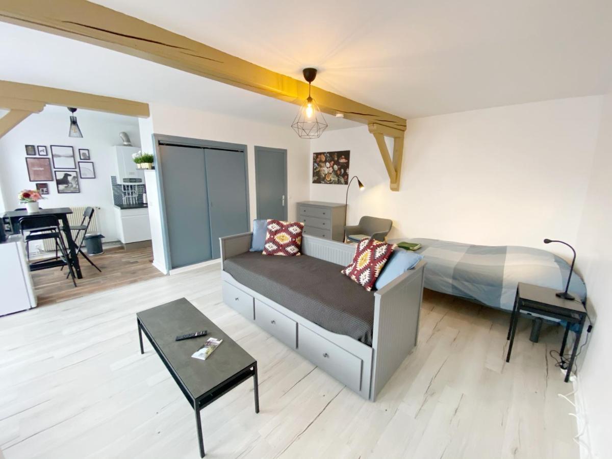 015 Chic & Cosy Studio 41M2 Hypercentre Wifi Smart Tv Netflix Saint-Etienne (Loire) Exterior foto