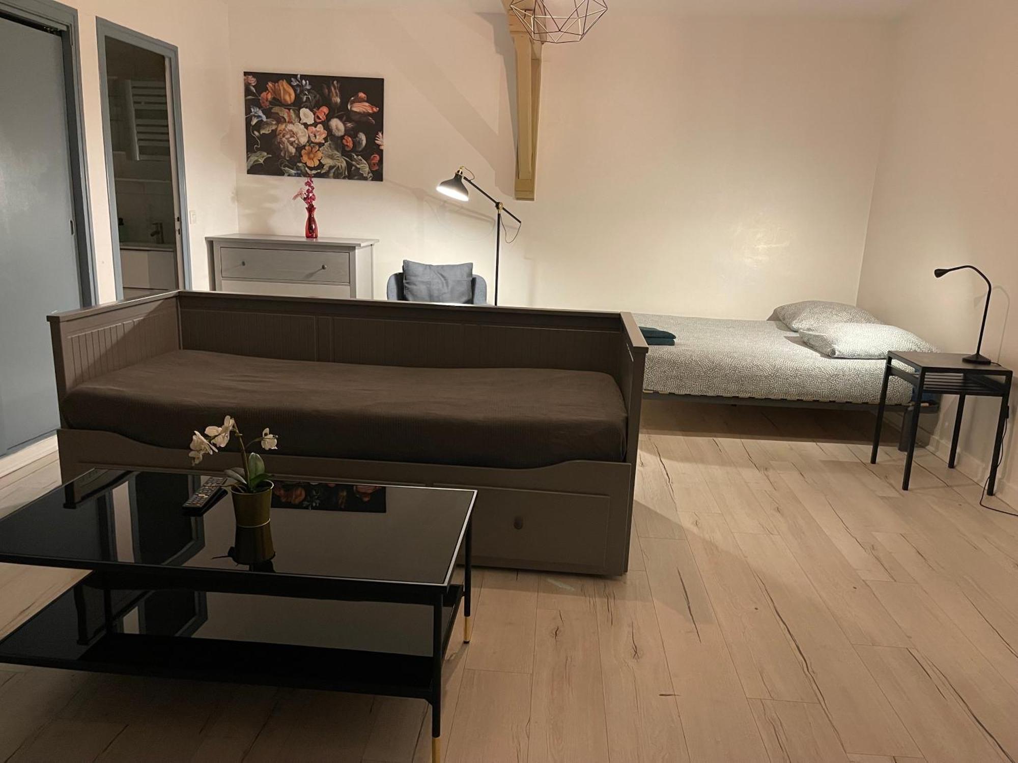 015 Chic & Cosy Studio 41M2 Hypercentre Wifi Smart Tv Netflix Saint-Etienne (Loire) Exterior foto